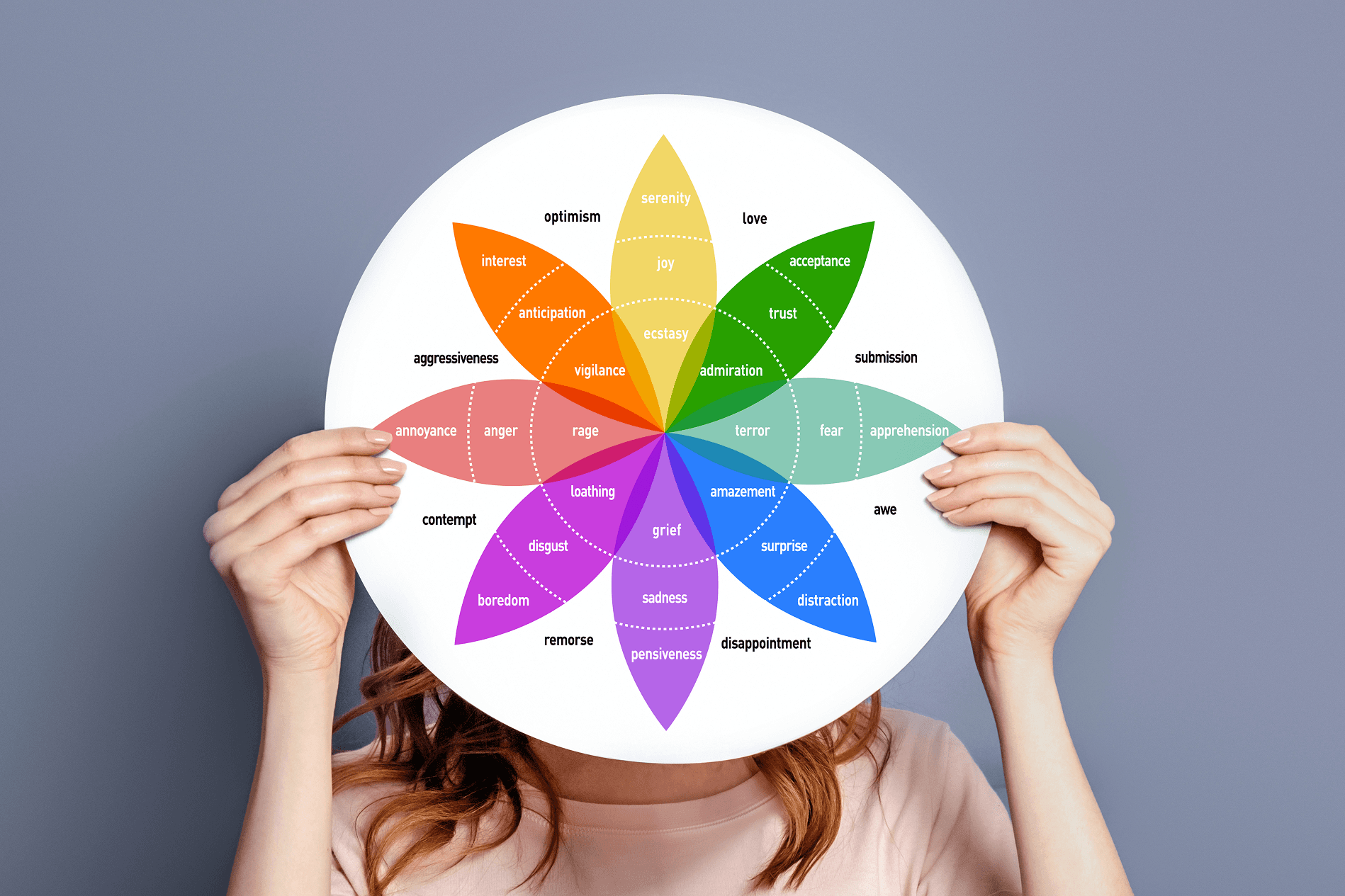 Illustration of an emotion wheel showing feelings by intensity and mood